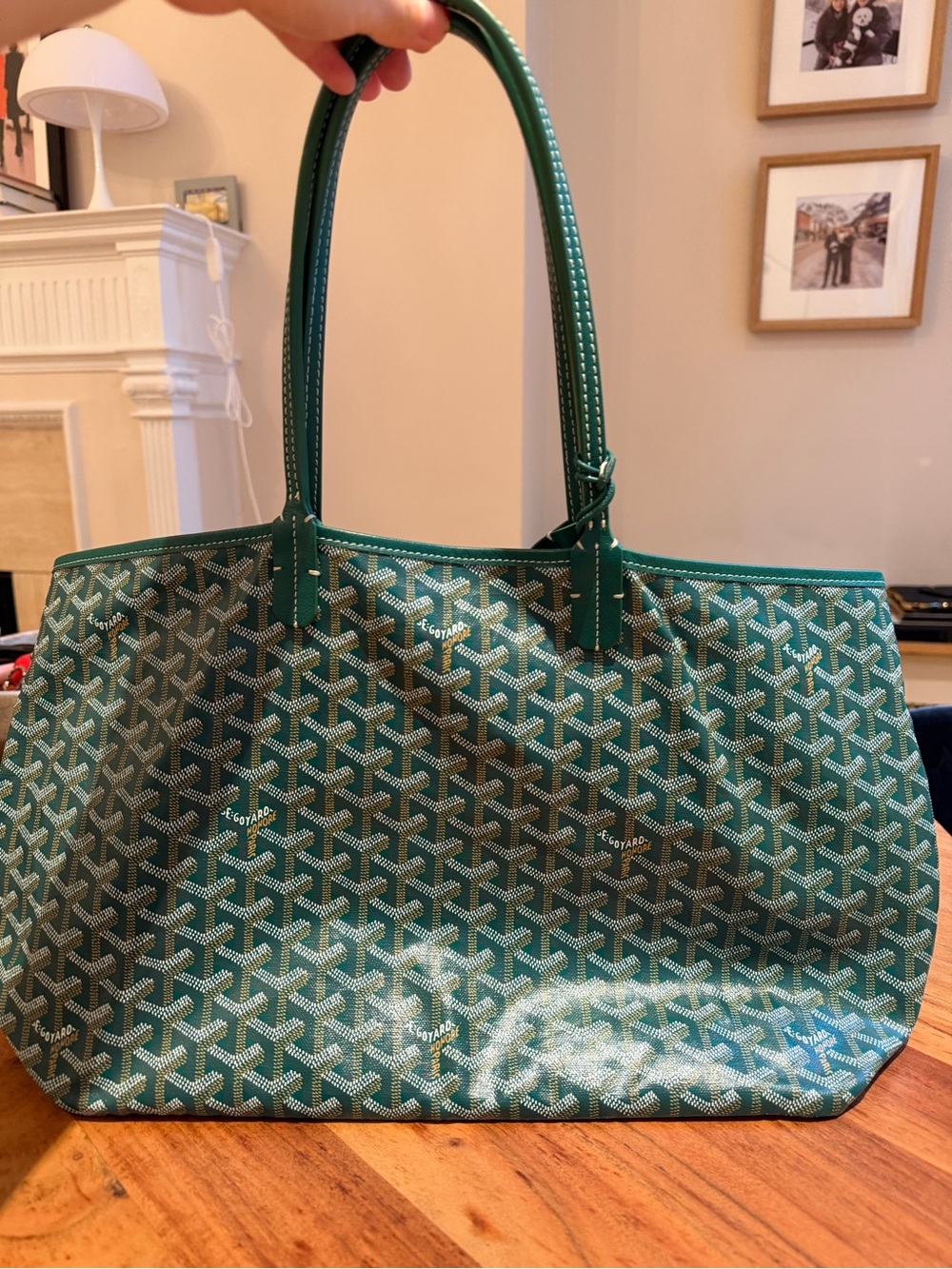 Green Patterned Tote Bag